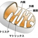 20100914134643657